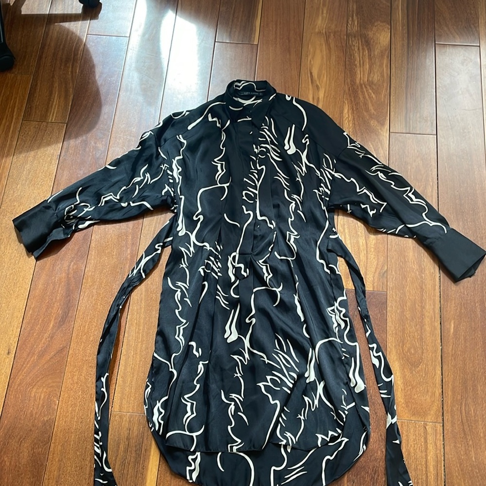 Zara dress
